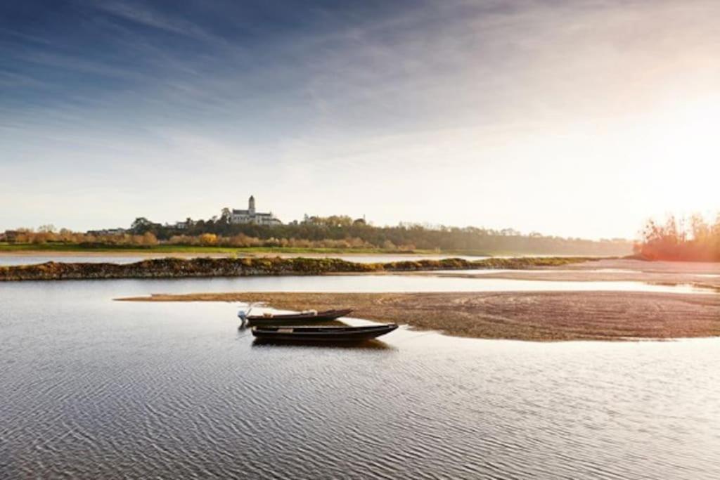 Appart' Cosy En Bord De Loire Сомюр Екстер'єр фото